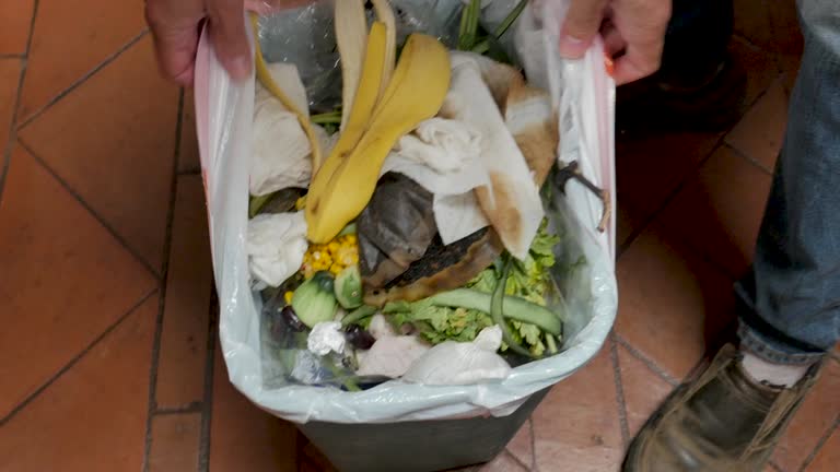 Best Same-Day Junk Removal Services  in Bay Shore, NY
